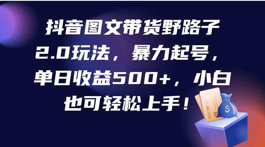 （9790期）抖音图文带货野路子2.0玩法，暴力起号，单日收益500+，小白也可轻松上手！-资源阁