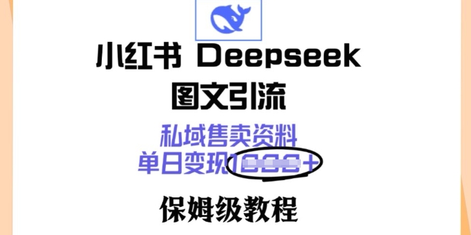 小红书Deepseek图文引流，私域售卖资料，单日变现多张，保姆级教程-资源阁
