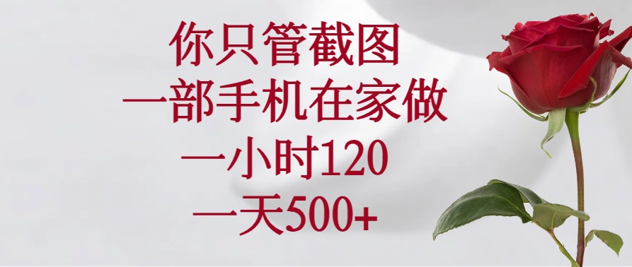 （14248期）你只管截图，一部手机在家做，一小时120，一天500+-资源阁