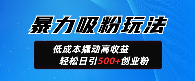 暴力吸粉玩法，日引500+精准创业粉，日变现轻松多张-资源阁