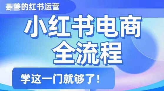 小红书电商全流程，精简易懂，从入门到精通，学这一门就够了-资源阁