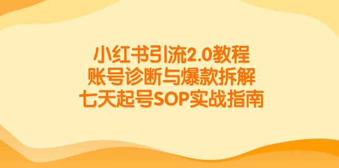 小红书引流2.0教程，账号诊断与爆款拆解，七天起号SOP实战指南-资源阁
