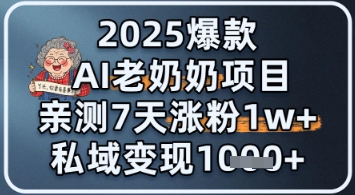 2025爆款 AI 老奶奶项目：亲测 7 天涨粉 1W+，私域变现 1k+-资源阁