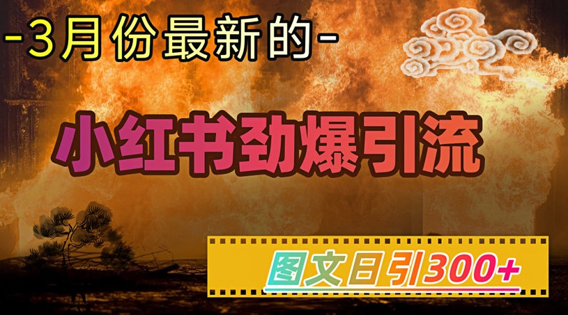 小红书超劲爆引流手段，图文日引300+轻松变现1W-资源阁