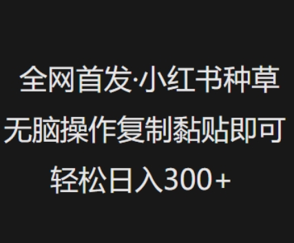 全网首发，小红书种草无脑操作，复制黏贴即可，轻松日入3张-资源阁