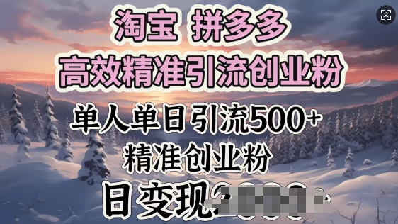 淘宝拼多多高效精准引流创业粉，单人单日引流500+创业粉，日变现多张-资源阁