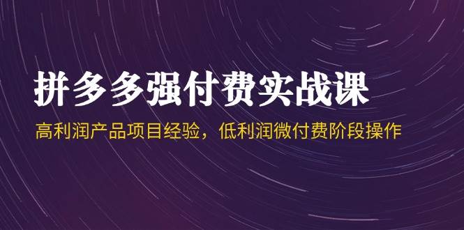 （14874期）拼多多强付费实战课-44期，高利润产品项目经验，低利润微付费阶段操作-资源阁