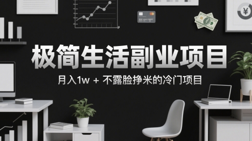 极简生活副业项目，月入1w+不露脸挣米的冷门项目-资源阁