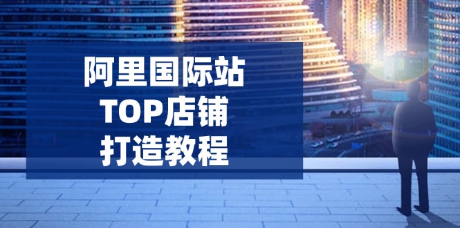 （14269期）阿里国际站TOP店铺打造教程：涵盖平台到高阶，解决运营难题，提升询盘-资源阁