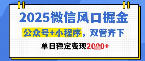2025微信风口掘金，公众号+小程序双管齐下，单日稳定变现1k+【揭秘】-资源阁