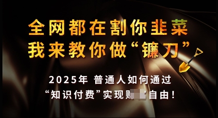 知识付费如何做到月入过W+，2025我来教你做“镰刀”【揭秘】-资源阁