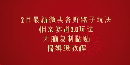 2月最新微头条野路子玩法，相亲赛道2.0玩法，无脑复制粘贴，保姆级教程-资源阁