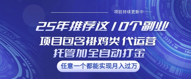 25年推荐这10个副业项目包含褂鸡类、代运营托管类、全自动打金类【揭秘】-资源阁