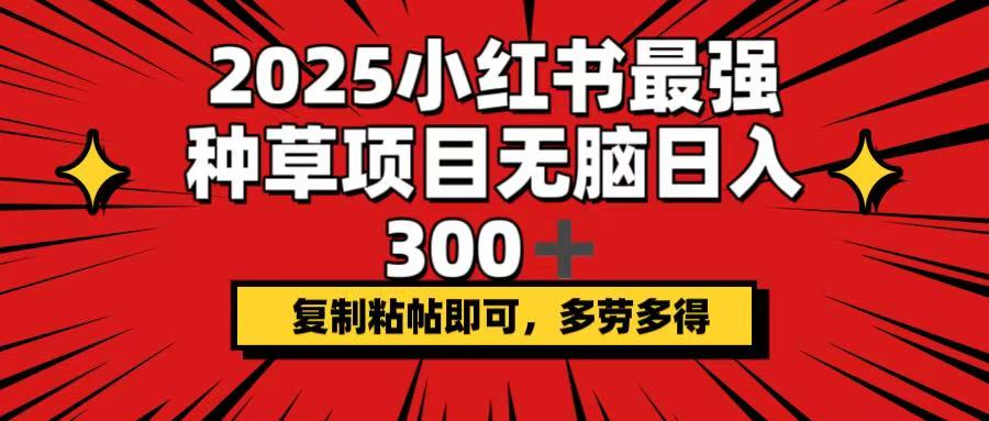 （14375期）2025小红书最强种草项目，无脑日入300+，复制粘帖即可，多劳多得-资源阁
