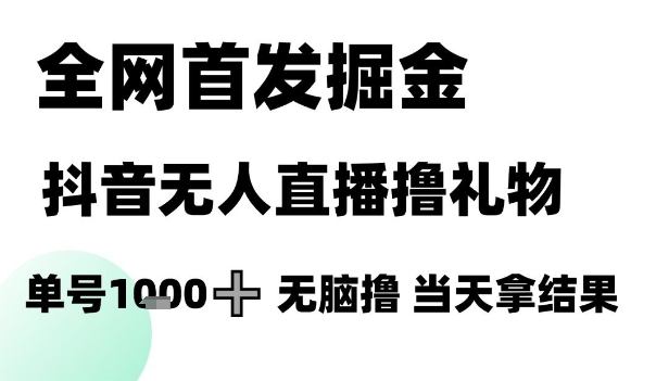 全网首发掘金抖音无人直播撸礼物，单号1k +无脑撸，当天拿结果【揭秘】-资源阁