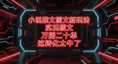 小说推文图文新玩法，实况图文，万播二十单，这转化太牛了！-资源阁