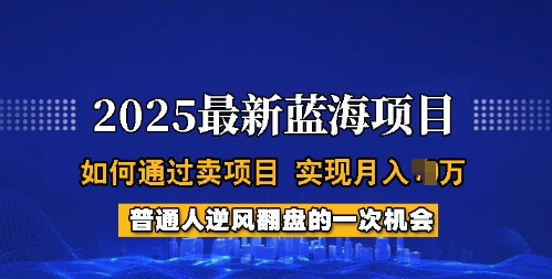 2025蓝海项目，普通人如何通过卖项目，实现月入过W，全过程【揭秘】-资源阁