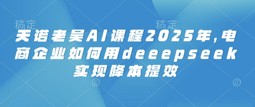 天诺老吴AI课程2025年，电商企业如何用deeepseek实现降本提效-资源阁