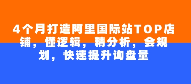 4个月打造阿里国际站TOP店铺，懂逻辑，精分析，会规划，快速提升询盘量-资源阁
