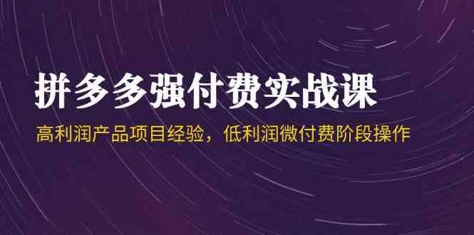 拼多多强付费实战课-44期，高利润产品项目经验，低利润微付费阶段操作-资源阁