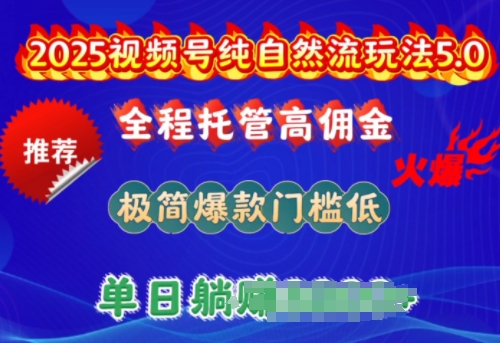 2025视频号纯自然流玩法5.0，全程托管高佣金，极简爆款门槛低，单日收益多张【揭秘】-资源阁