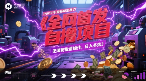 全网首发，2025年最新稳定暴力全自动自撸项目，无限制批量操作，日入多张【揭秘】-资源阁