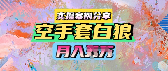 空手套白狼，月入过1W，实操案例分享-资源阁
