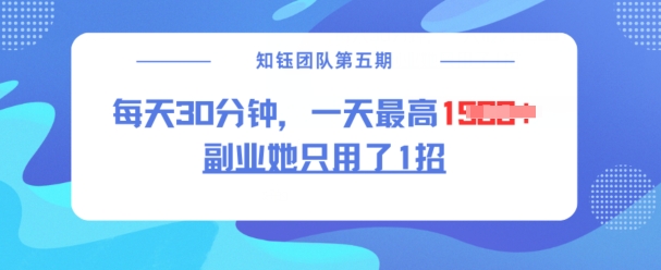 副业她只用了1招，每天30分钟，无脑二创，一天最高1.5k-资源阁