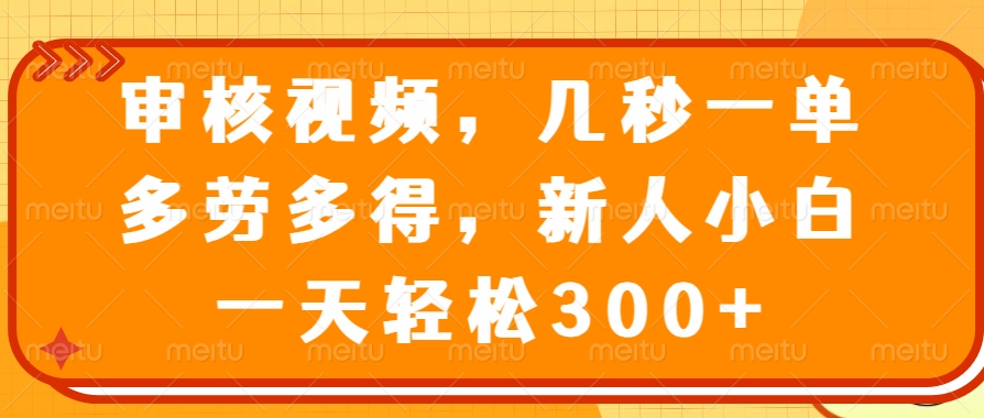 （14294期）审核视频，几秒一单，多劳多得，新人小白一天轻松300+-资源阁