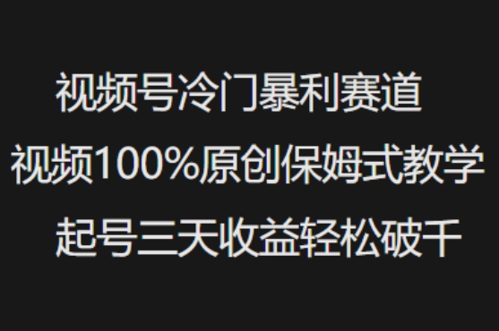 视频号冷门暴利赛道视频100%原创保姆式教学起号三天收益轻松破千-资源阁