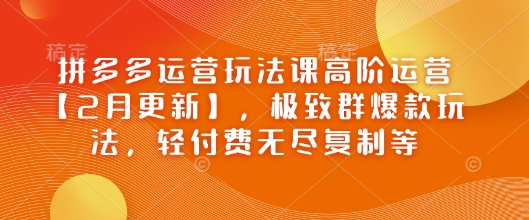 拼多多运营玩法课高阶运营【2月更新】，极致群爆款玩法，轻付费无尽复制等-资源阁