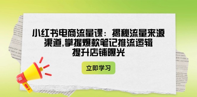 （14318期）小红书电商流量课：揭秘流量来源渠道,掌握爆款笔记推流逻辑,提升店铺曝光-资源阁