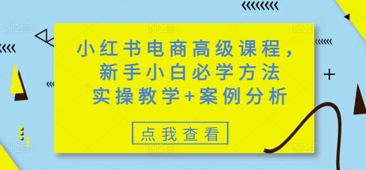小红书电商高级课程，新手小白必学方法，实操教学+案例分析-资源阁