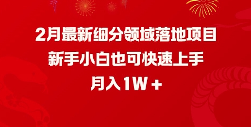 2月最新细分领域落地项目，新手小白也可快速上手，月入1W-资源阁