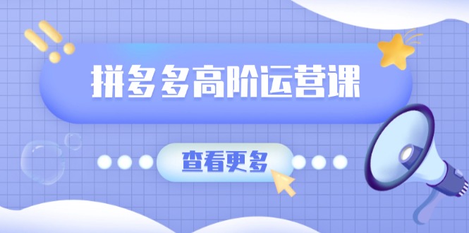（14327期）拼多多高阶运营课：极致群爆款玩法，轻付费无尽复制，打造单品爆款之路-资源阁