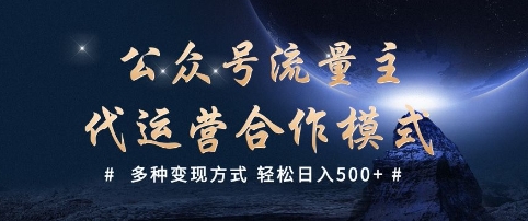 公众号流量主代运营  多种变现方式 轻松日入5张【揭秘】-资源阁
