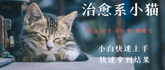 拆解，疯狂火爆！抖音，小红书，视频号小猫治愈的视频，轻松制作+快速拿到结果-资源阁