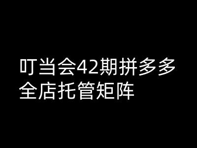 叮当会拼多多打爆班原创高阶技术第42期，拼多多全店托管矩阵-资源阁