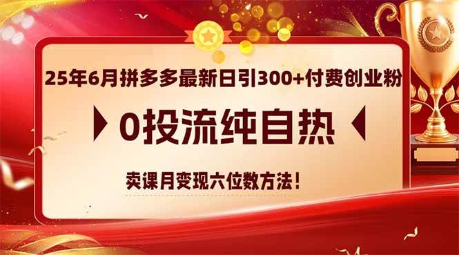 （14989期）25年6月拼多多最新日引300+付费创业粉，0投流纯自热 卖课月变现六位数方法-资源阁